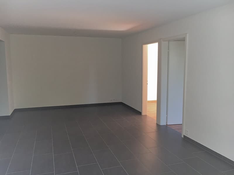 Appartement 3 pièces magnifique!! (7)