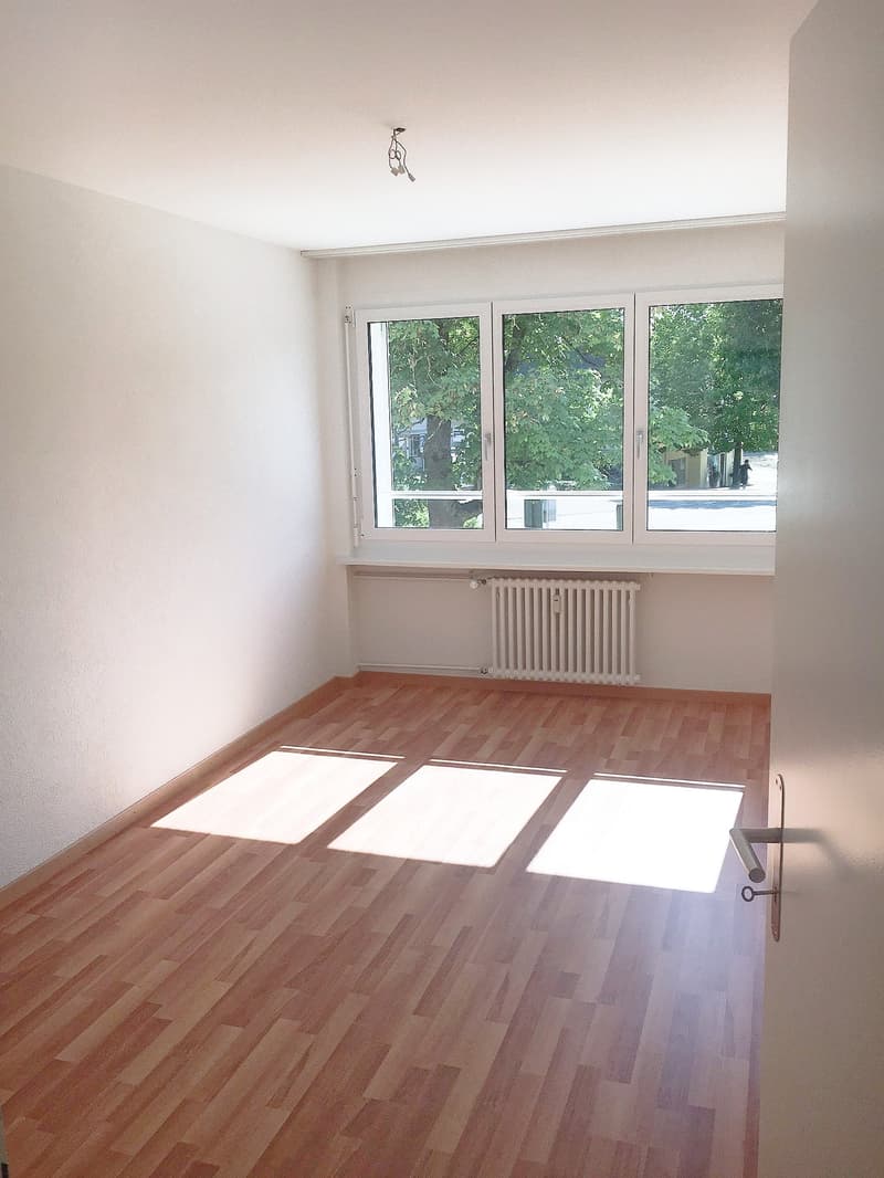 Appartement 3 pièces magnifique!! (5)