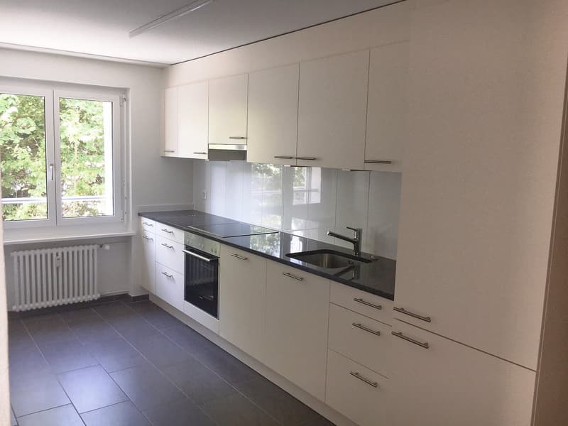 Appartement 3 pièces magnifique!! (2)