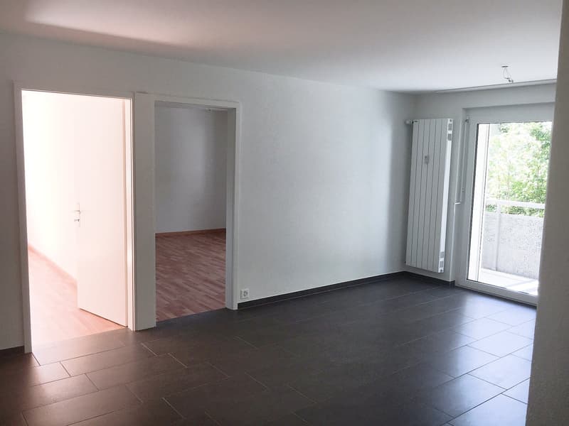 Appartement 3 pièces magnifique!! (6)