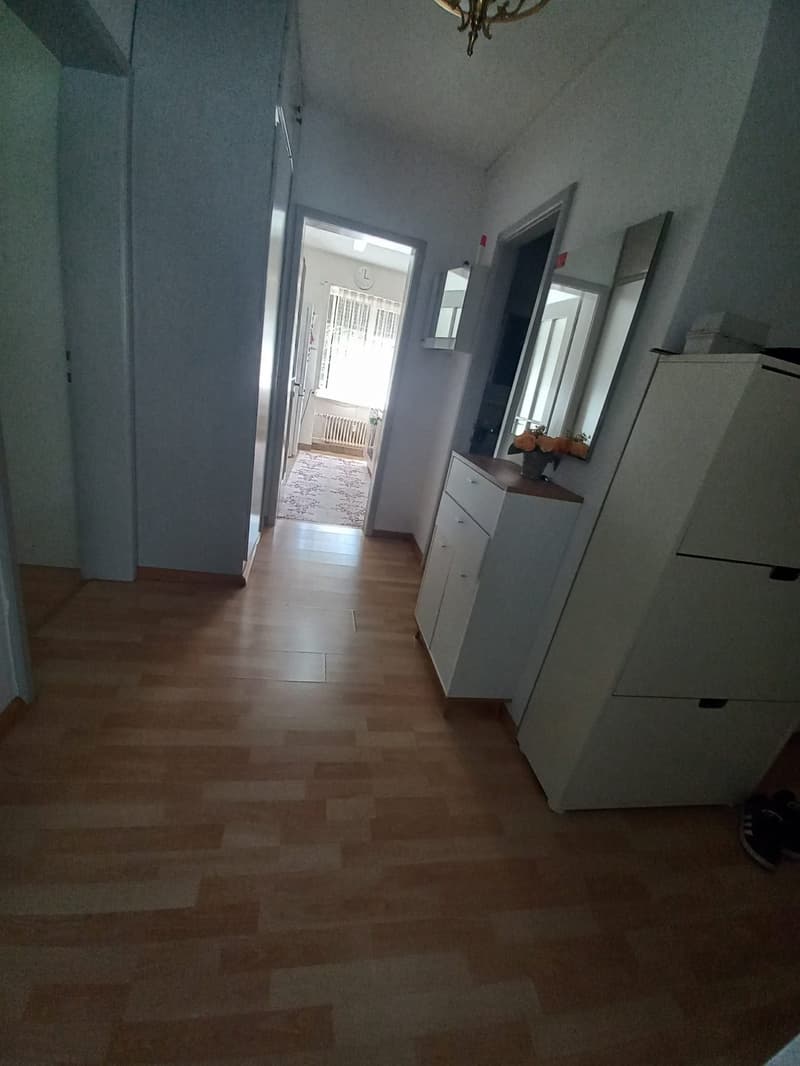 Meraviglioso appartamento di 3.5 locali al Wasgenring 100! (5)