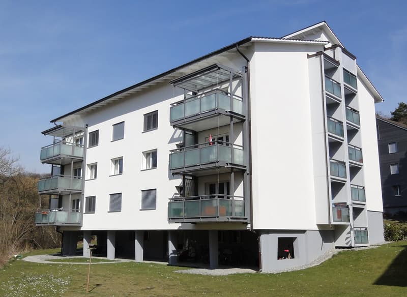 Appartamento di 3,5 locali bellissimo in affitto!! (1)