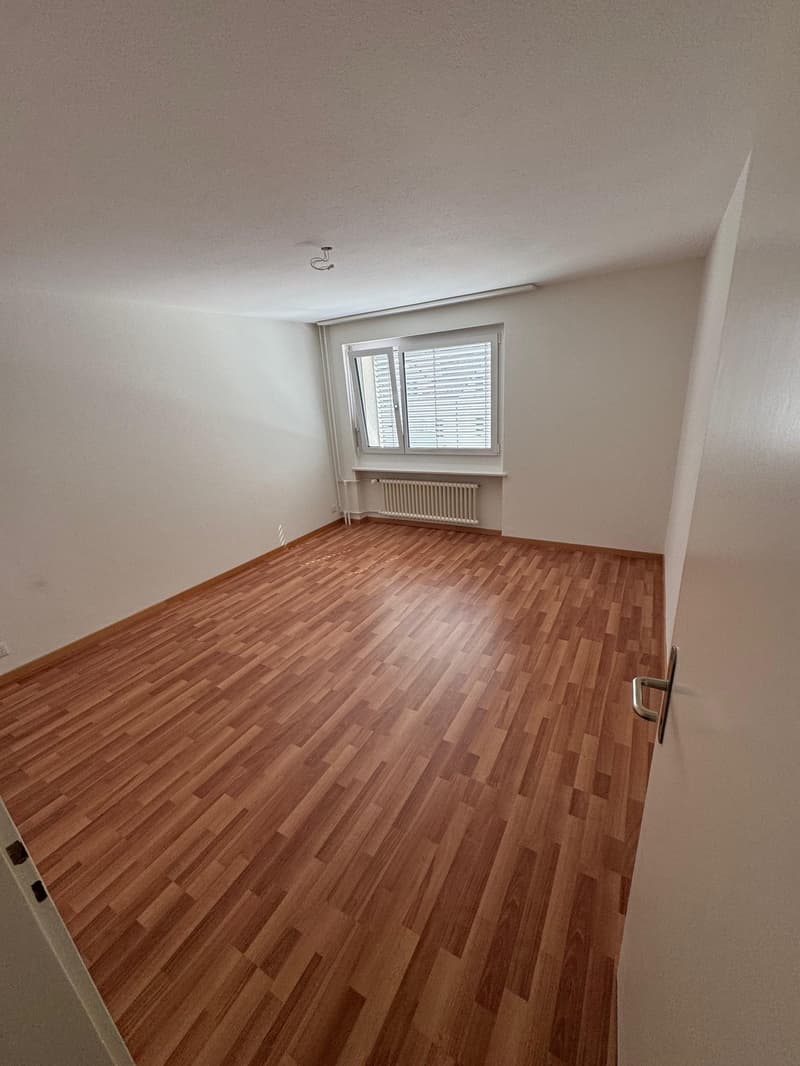 Appartamento di 3,5 locali bellissimo in affitto!! (11)