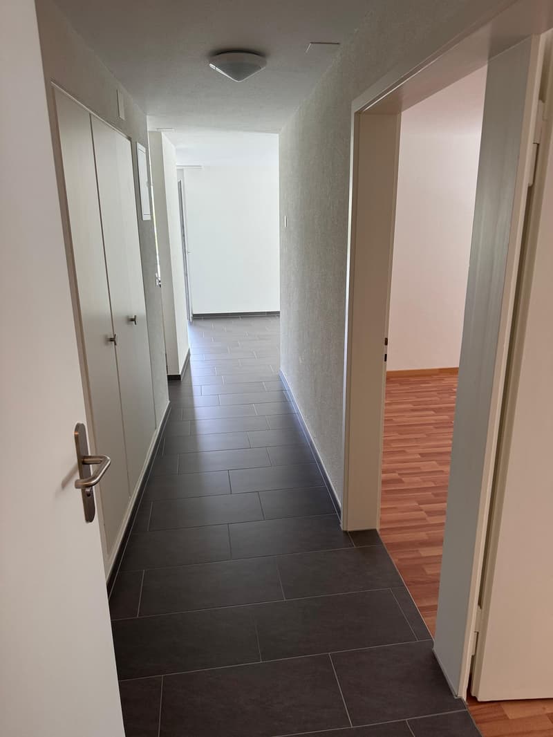 Appartamento di 3,5 locali bellissimo in affitto!! (10)
