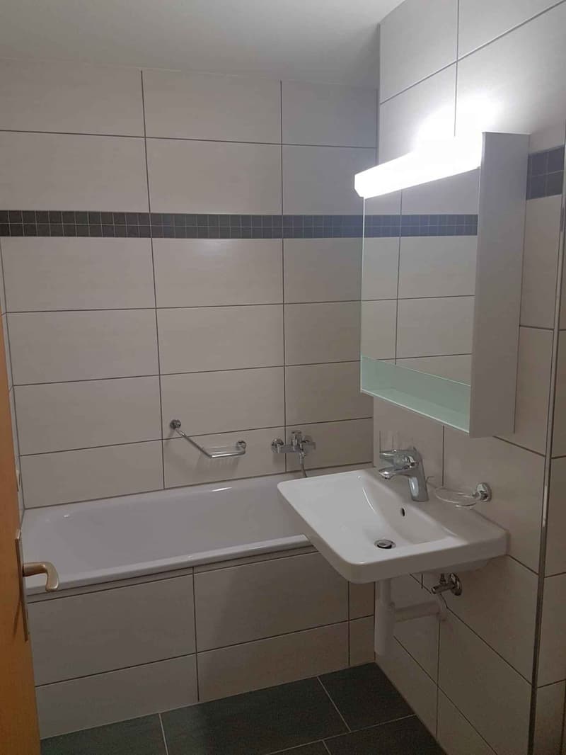 Herrliche 1 Zimmerwohnung zu vermieten! (4)