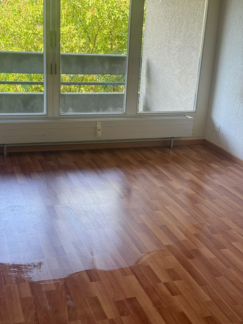 Wunderbare 1.5 Zimmerwohnung mit Balkon (7)