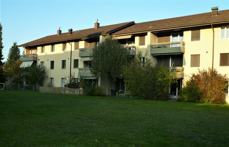 Wunderbare 1.5 Zimmerwohnung mit Balkon (1)