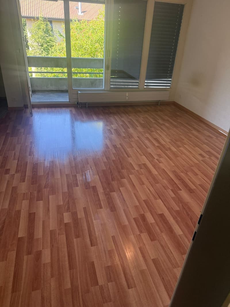 Wunderbare 1.5 Zimmerwohnung mit Balkon (5)