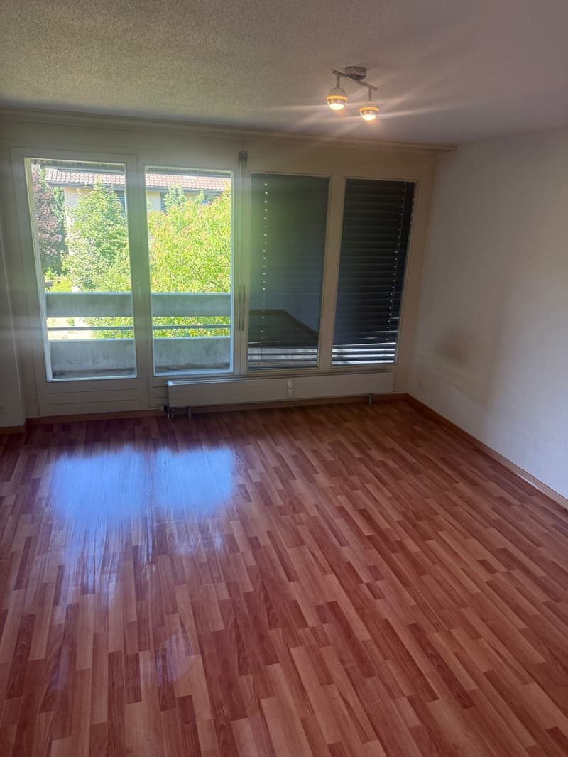 Wunderbare 1.5 Zimmerwohnung mit Balkon (6)