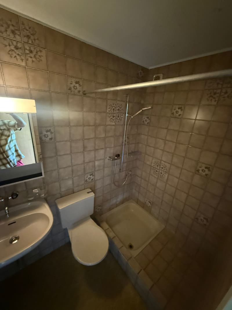 Wunderbare 1.5 Zimmerwohnung mit Balkon (8)