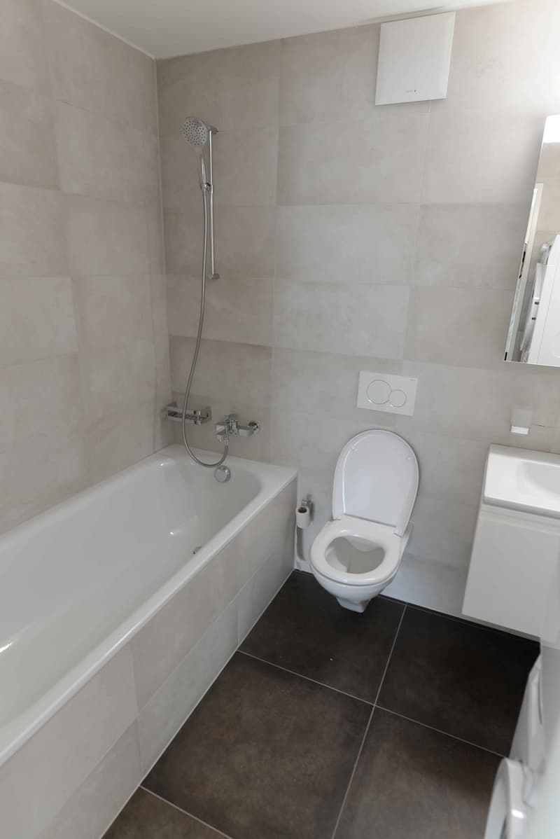 Moderne, sanierte 3.5-Zimmer-Maisonettewohnung zu vermieten! (8)