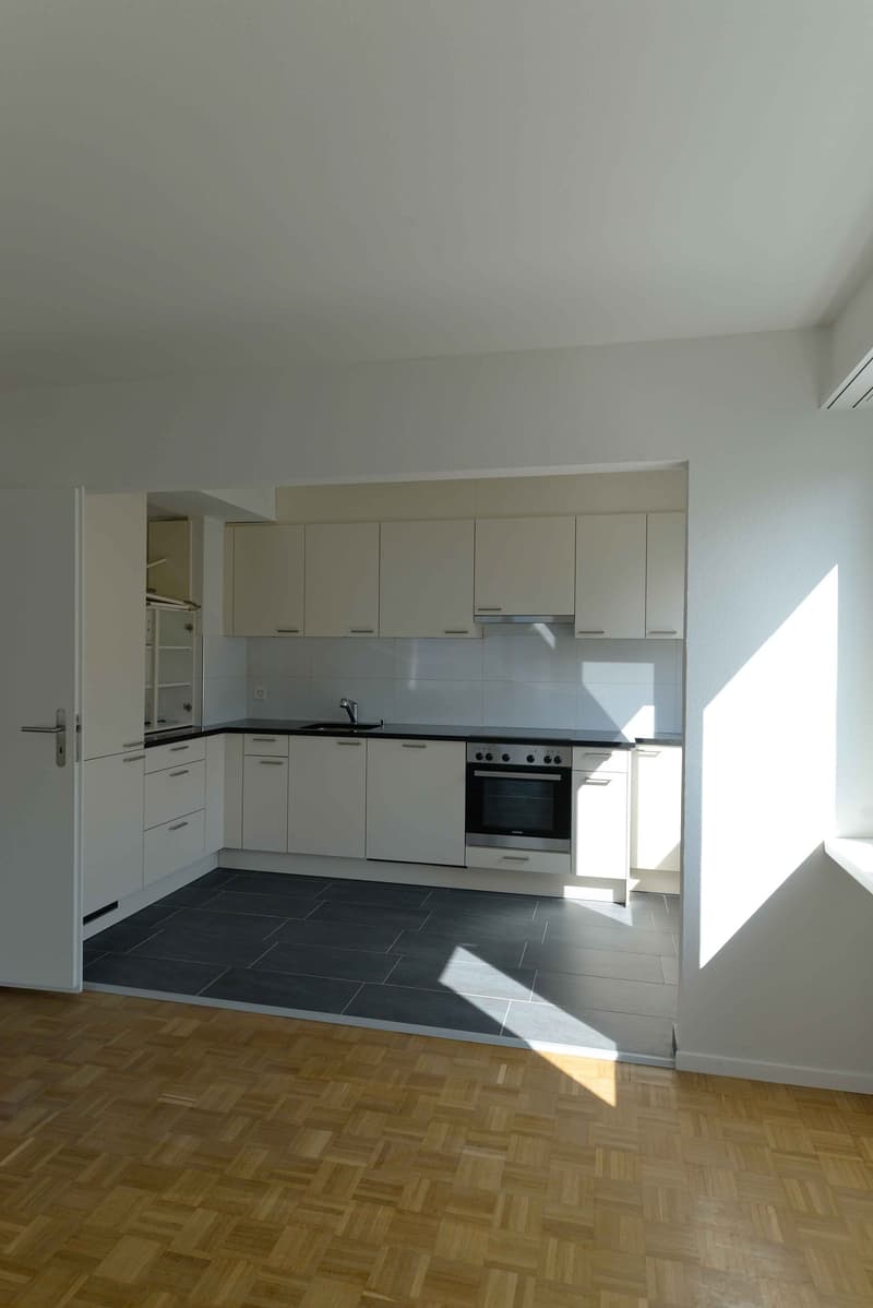 Beautiful 3-room apartment (3)
