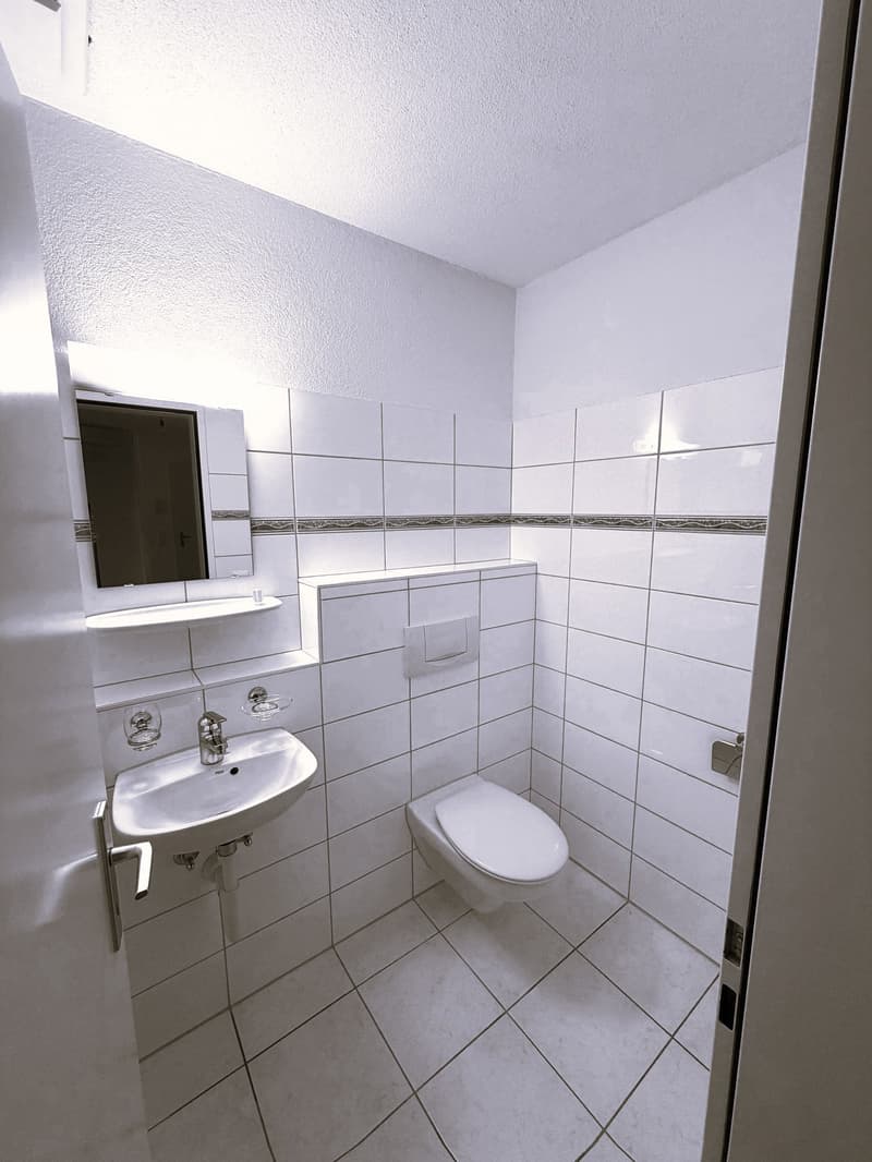 Einmalige 4.5 Zimmer Duplexwohnung! (5)