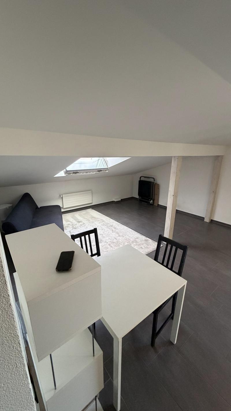 Wunderschöne 2-Zimmerwohnung im DG! (4)