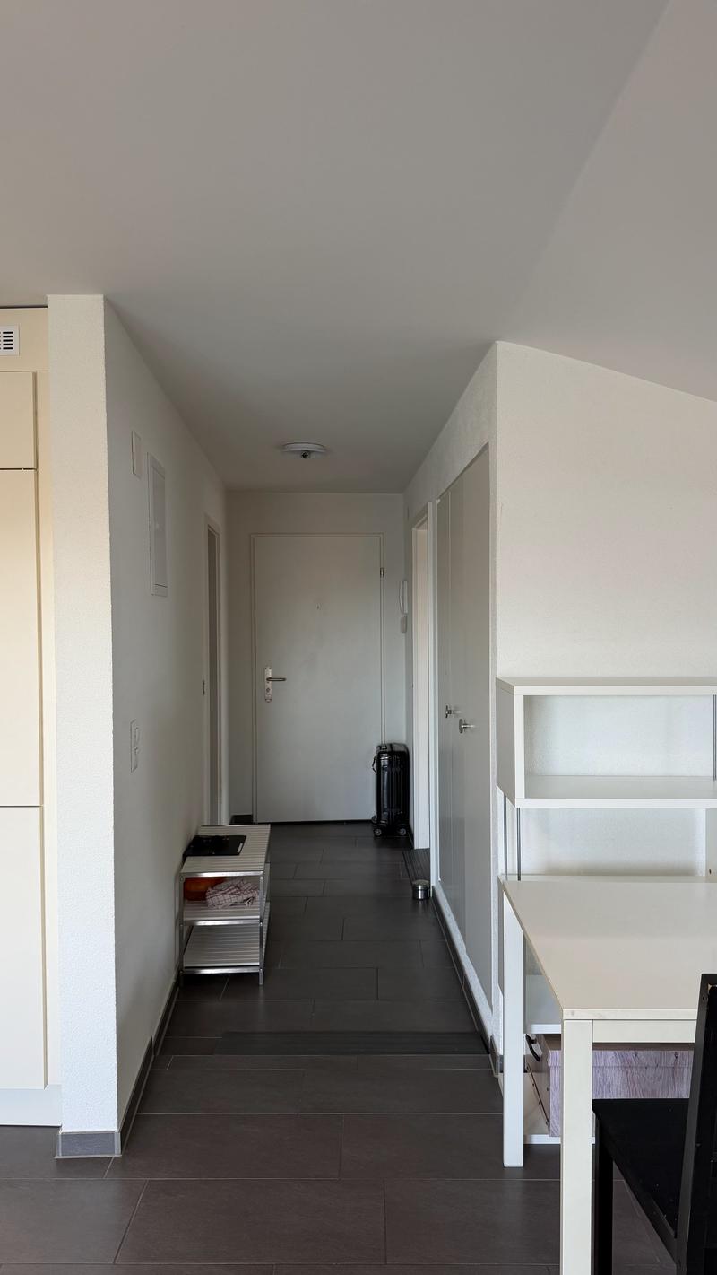 Wunderschöne 2-Zimmerwohnung im DG! (7)