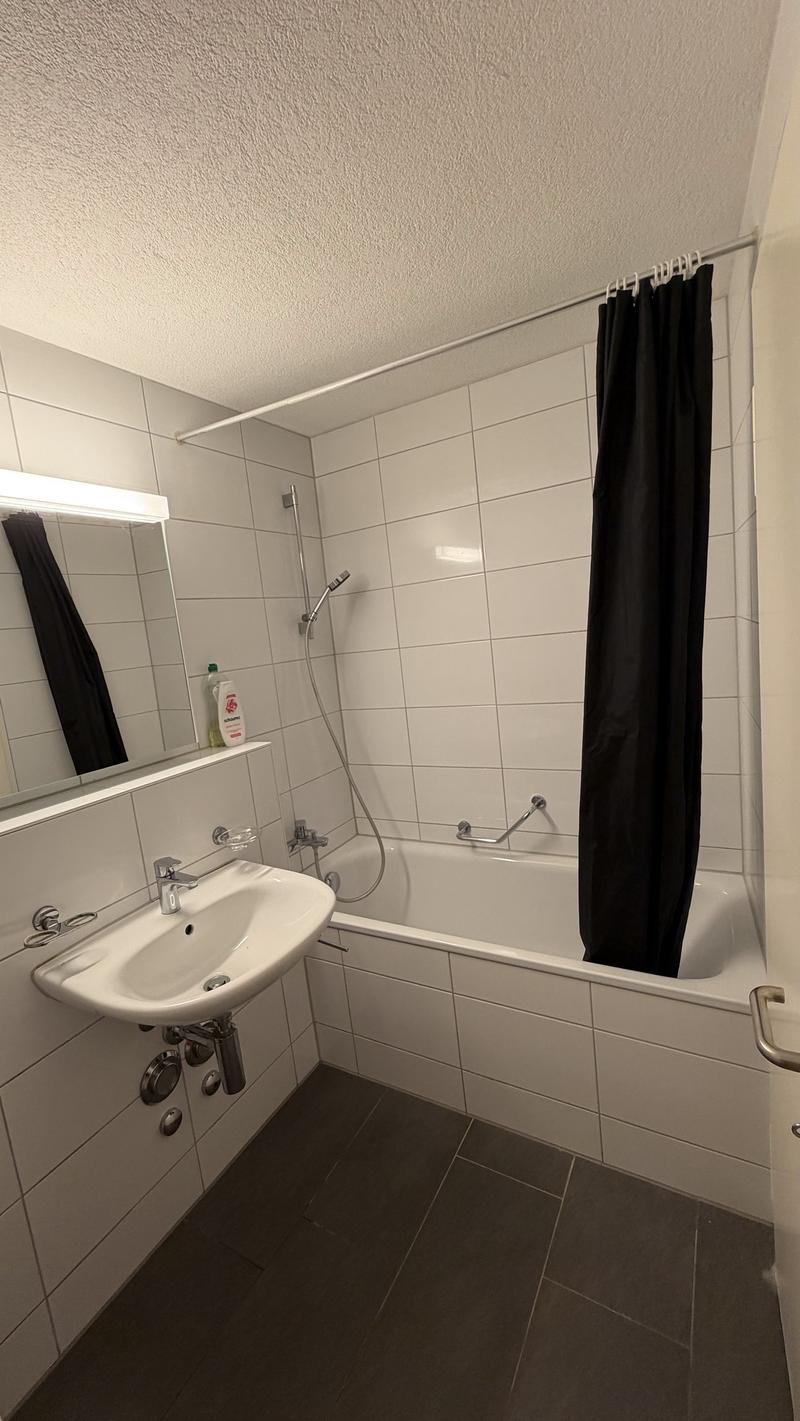 Wunderschöne 2-Zimmerwohnung im DG! (10)