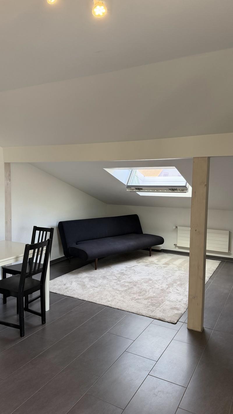 Wunderschöne 2-Zimmerwohnung im DG! (5)