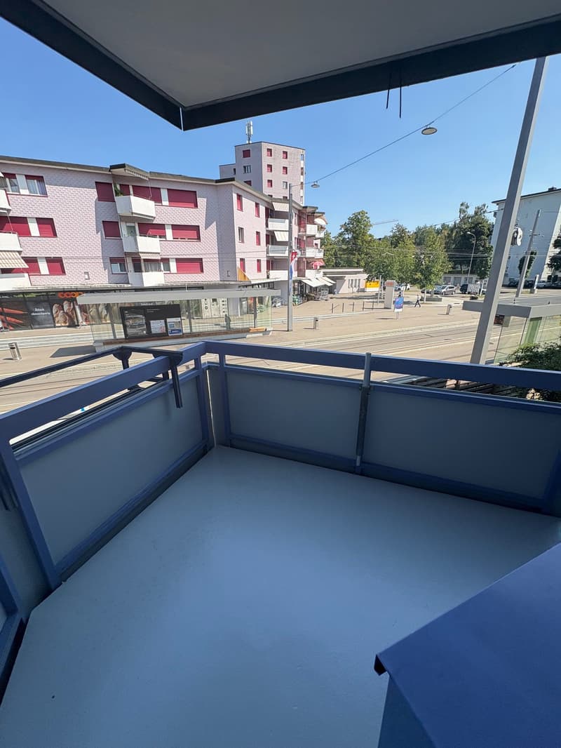 Erstvermietung von mehreren totalsanierten 3.5-Zimmer-Wohnungen an zentraler Lage in Dietikon (11)