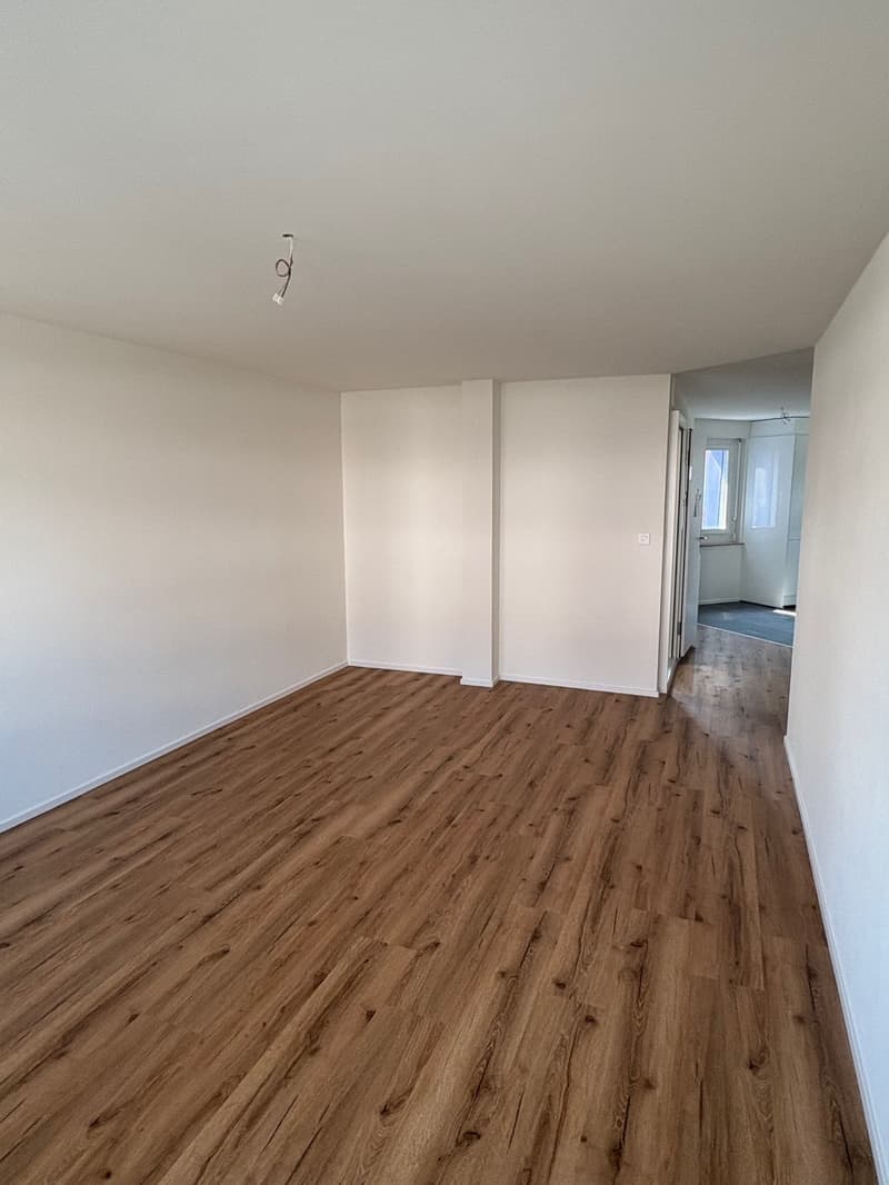 Erstvermietung von mehreren totalsanierten 4.5-Zimmer-Wohnungen an zentraler Lage in Dietikon (6)