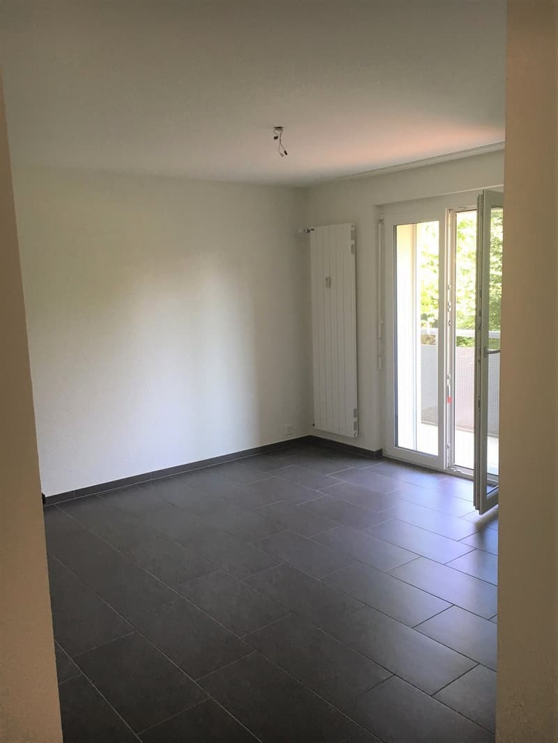 Wunderschöne 2 Zimmerwohnung!! (4)