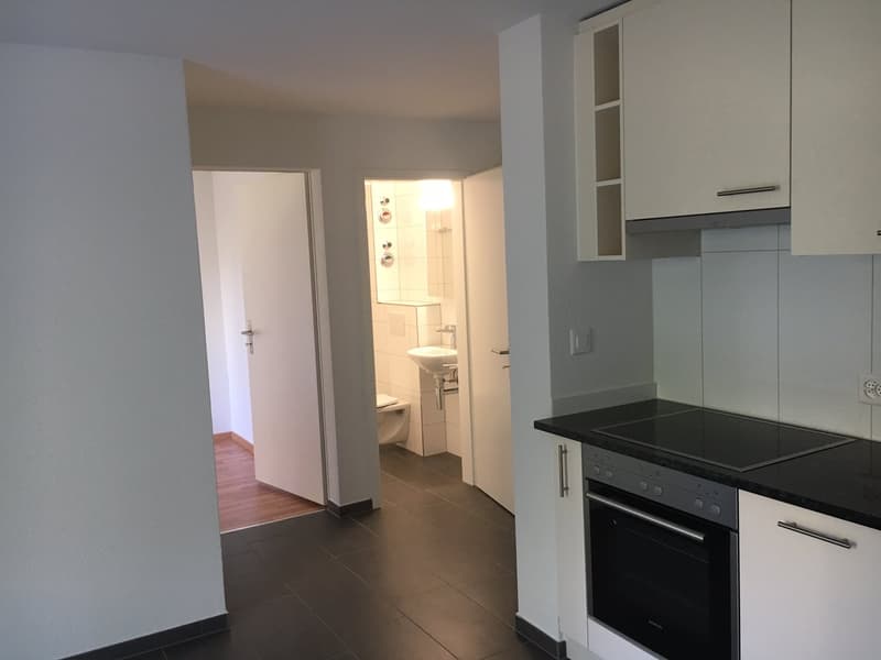 Wunderschöne 2 Zimmerwohnung!! (3)
