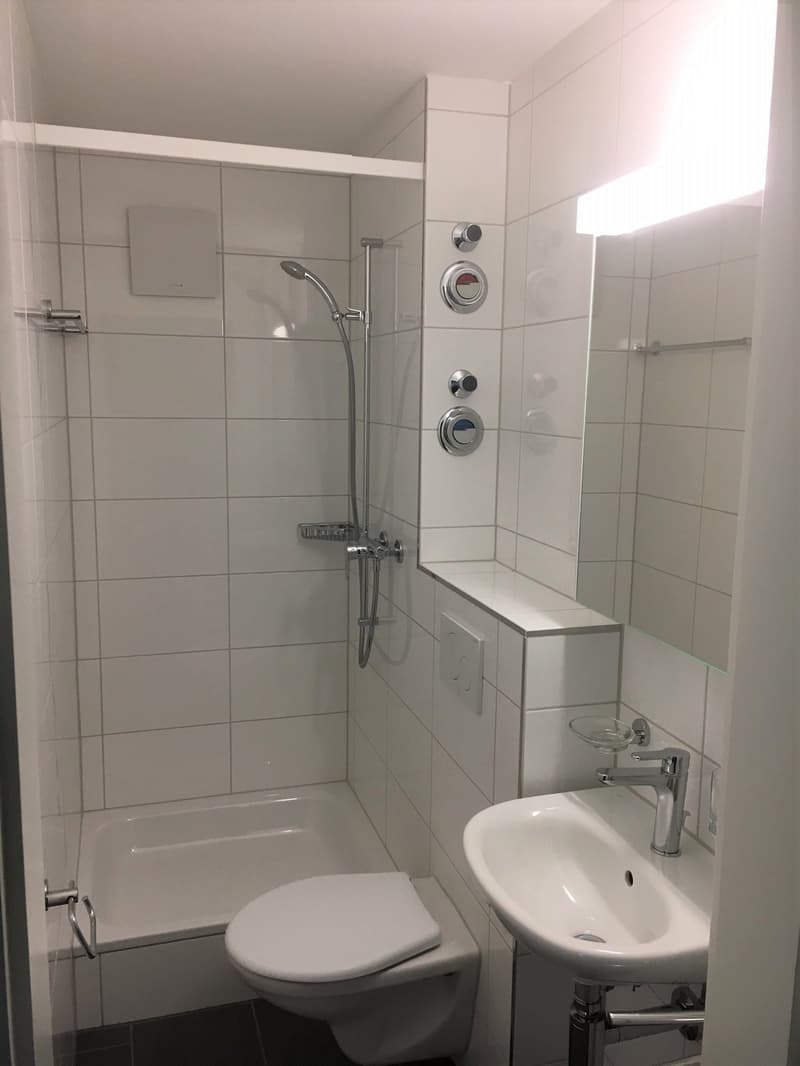 Wunderschöne 2 Zimmerwohnung!! (5)