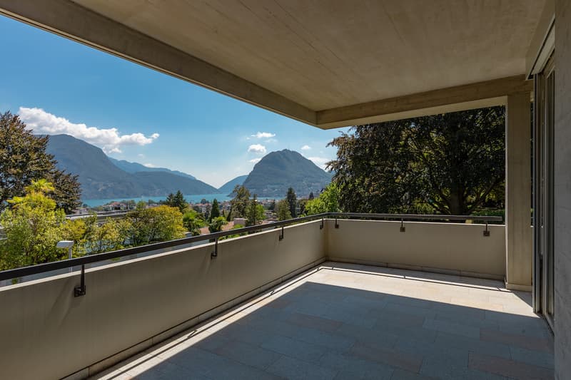 Spaziosa Villa Completamente Rinnovata Vicino al Centro di Lugano (5)