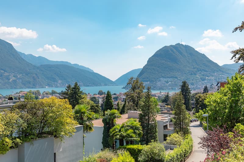 Spaziosa Villa Completamente Rinnovata Vicino al Centro di Lugano (7)