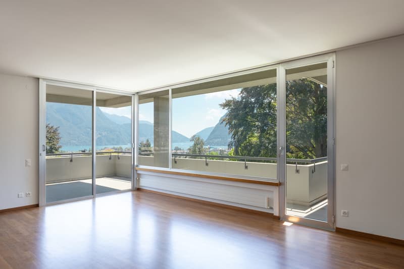 Spaziosa Villa Completamente Rinnovata Vicino al Centro di Lugano (9)