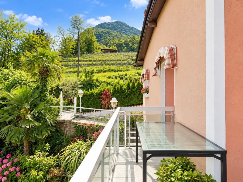 Terreno Edificabile con Vista Lago di Lugano in vendita a Paradiso (7)