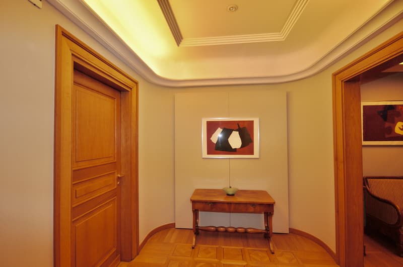 Elegante ufficio / appartamento di rappresentanza in centro Lugano (6)