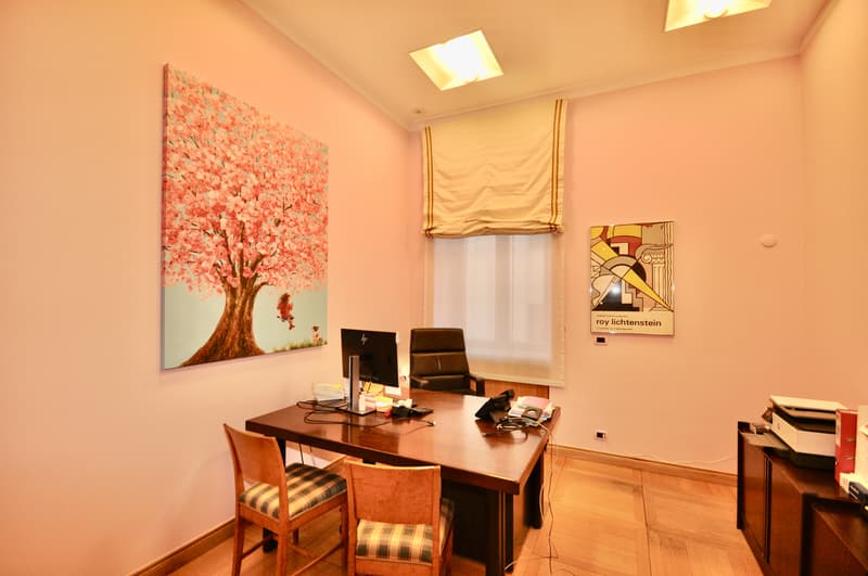 Elegante ufficio / appartamento di rappresentanza in centro Lugano (3)