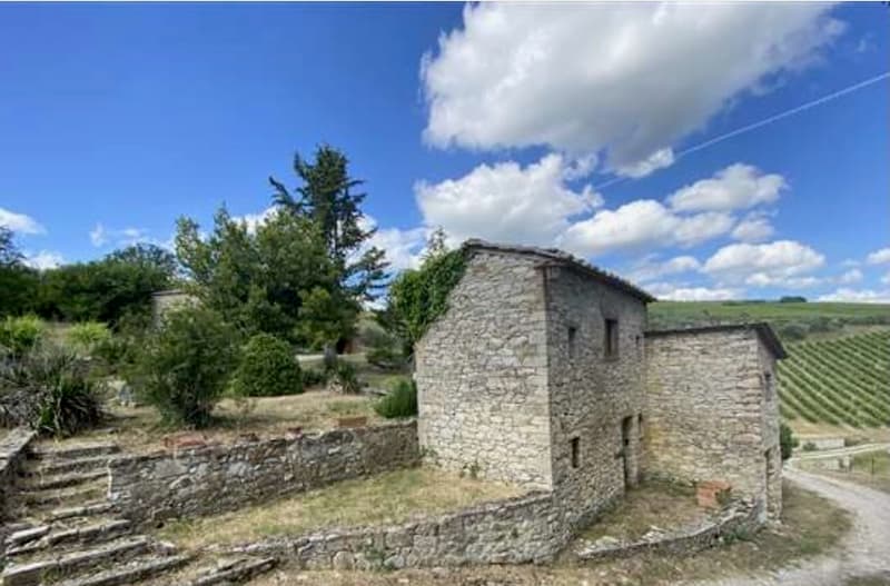 Villa in Stile Toscano con Dependance, Piccolo Vigneto e Oliveto (9)
