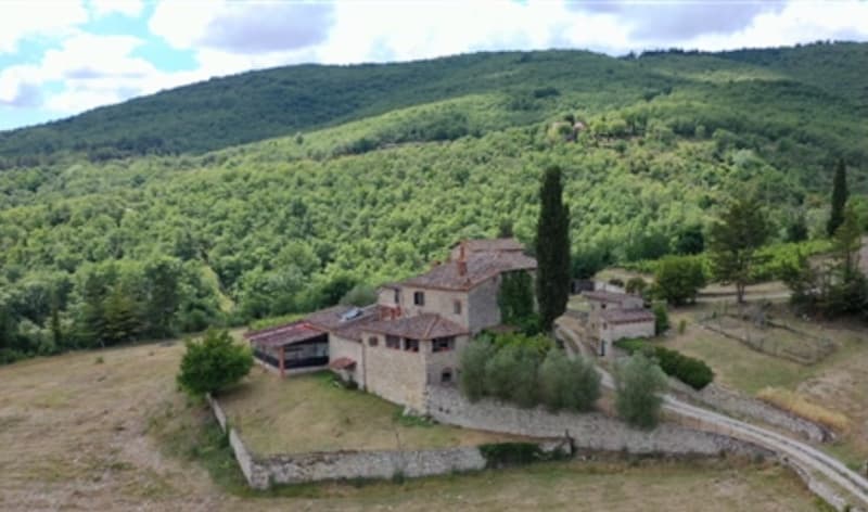 Villa in Stile Toscano con Dependance, Piccolo Vigneto e Oliveto (1)