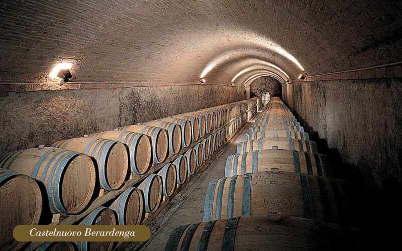 Vignobles d'environ 500 hectares avec oliviers, forêt avec truffes en Chianti (10)
