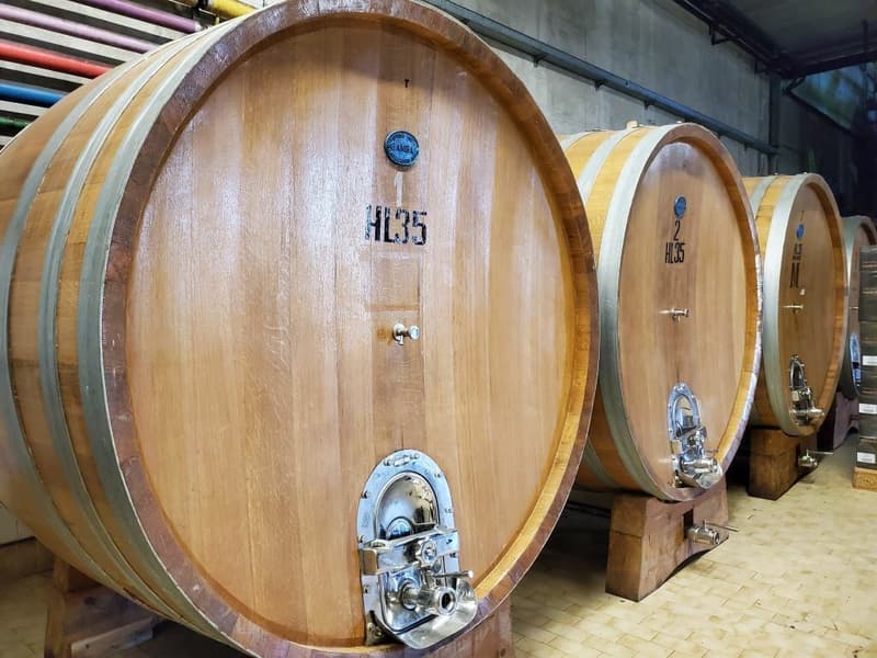 Vignobles d'environ 500 hectares avec oliviers, forêt avec truffes en Chianti (11)