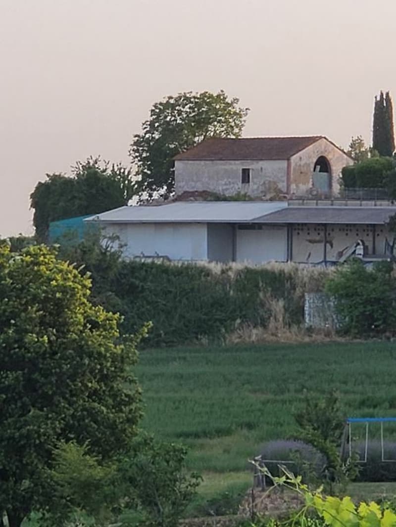 Vignobles d'environ 500 hectares avec oliviers, forêt avec truffes en Chianti (6)