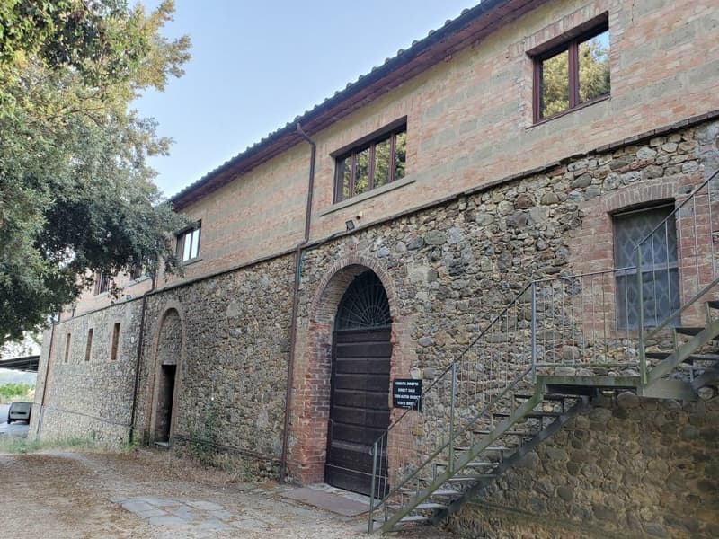 Vignobles d'environ 500 hectares avec oliviers, forêt avec truffes en Chianti (5)