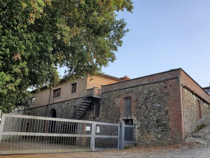 Vignobles d'environ 500 hectares avec oliviers, forêt avec truffes en Chianti (4)