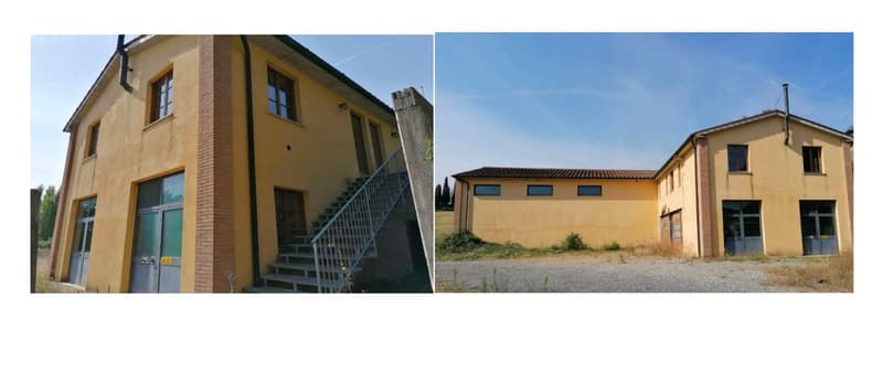 Vignobles d'environ 500 hectares avec oliviers, forêt avec truffes en Chianti (7)