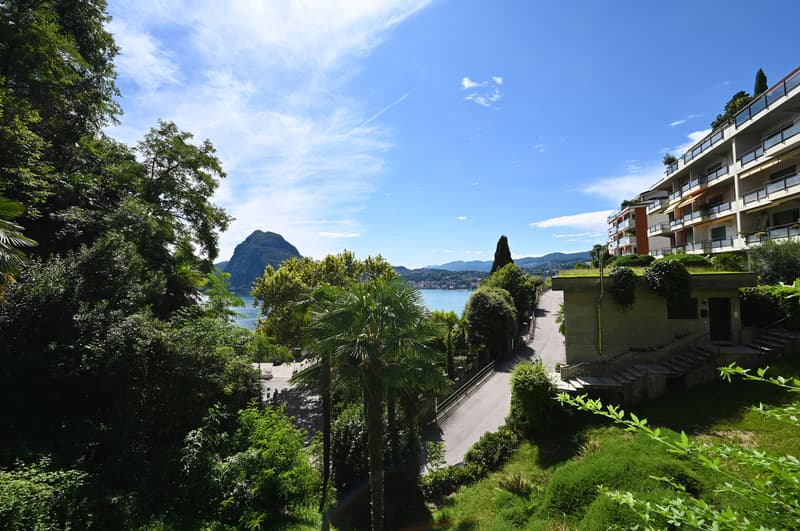 Appartamento con Meravigliosa Vista sul Lago di Lugano e sulla Città (12)