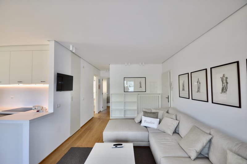 Appartamento di Lusso Vista Lago di Lugano Prima Linea a Paradiso (6)