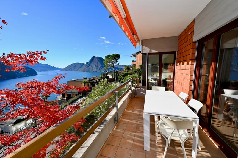 Casa di Vacanza - Appartamento con Vista Mozzafiato sul Lago di Lugano (1)