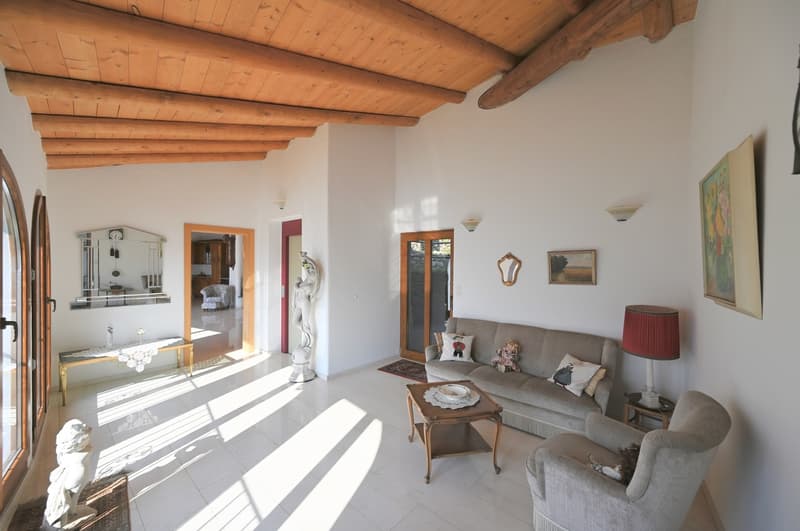 2 Ville Gemelle in Stile Rustico con Vista Lago e Piscina (8)