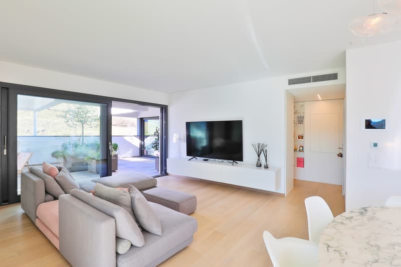 Moderno Attico: Terrazza Panoramica e Finiture di Pregio (10)