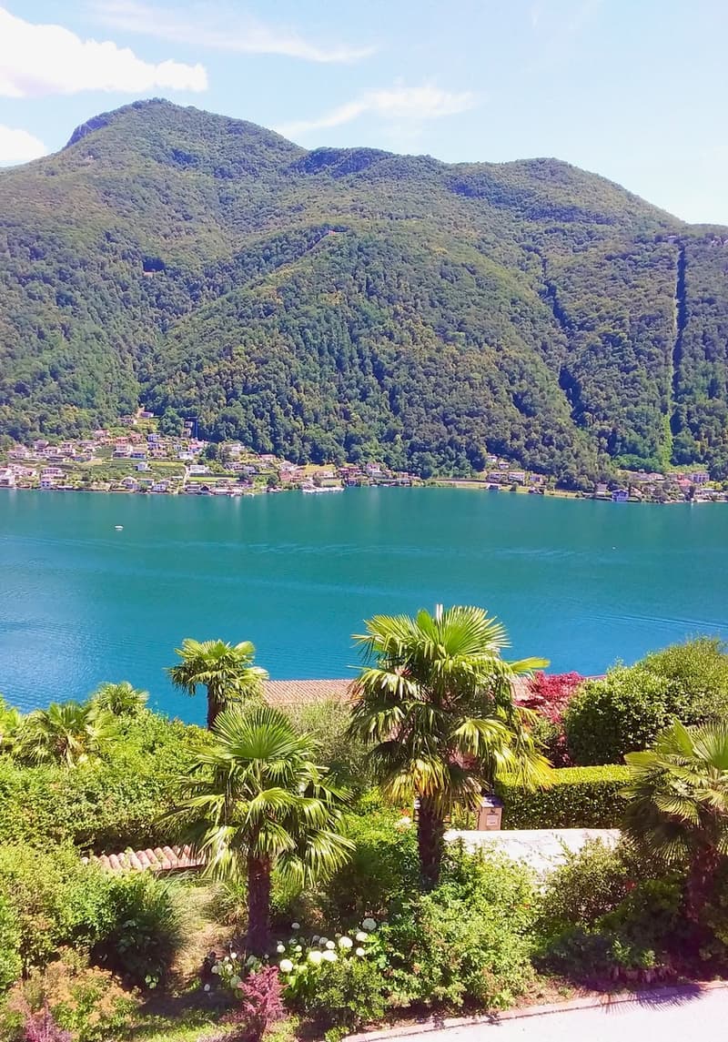 Villa da Ristrutturare con Vista a 180 sul lago di Lugano (7)