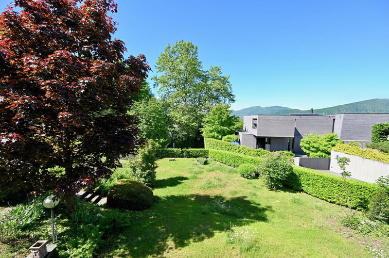 Terreno Edificabile a Montagnola - Prestigiosa Zona Residenziale (2)