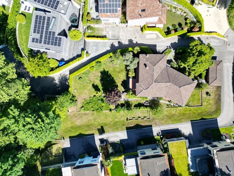 Terreno Edificabile a Montagnola - Prestigiosa Zona Residenziale (4)
