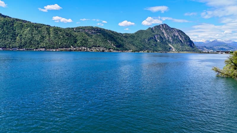 Oasi sul Lago di Lugano - Villa pieds dans l'eau con darsena privata (6)
