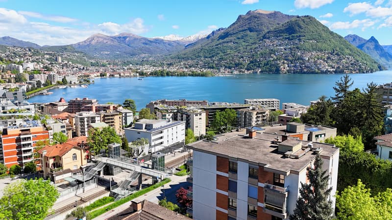 Lusso, Comfort e Vista Lago: Raffinato 4.5 Locali a Paradiso (3)